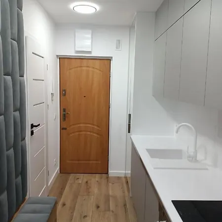Droinvest Apartament Jarzebinowa - Krzyki - Pkp - Ue * Wroclaw